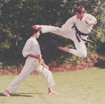 Tobi-geri - sensei marshall